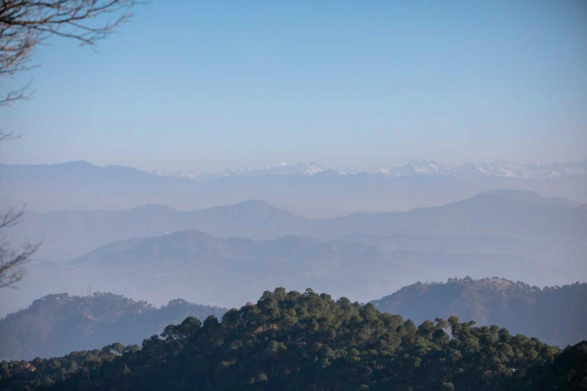 Stayvista At Padam Hill- Pet Friendly Villa With Garden Kasauli Exterior foto